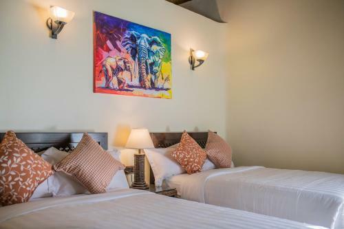 Hotel Hunters Paradise Cottages
