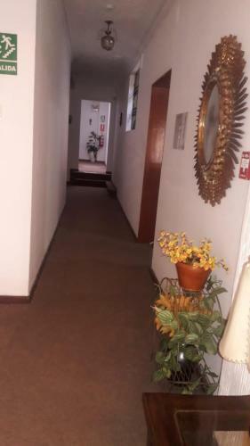 Hostal Hospedaje Schell