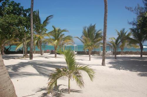 Brow Eagle Beach Villa, Watamu
