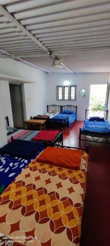 Holiday Homestay