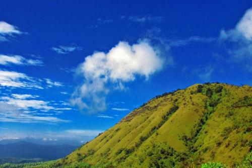 Holiday Homestay