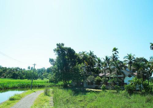 Villa The Meadow