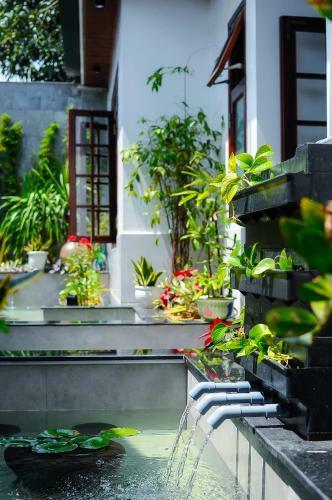 Hostal Chi Homestay #3