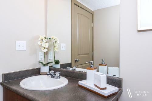 Apartamento Central, Ground Floor, Spacious, Pool And Hot Tub