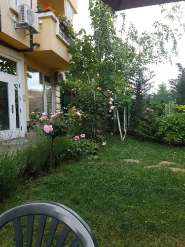 Hostal Guesthouse Zanier