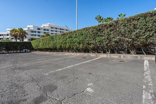 Optimist, Apartament Las Americas