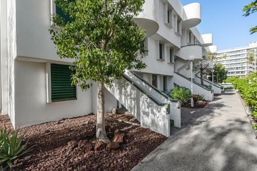 Optimist, Apartament Las Americas