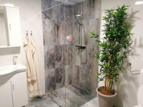 Apartamento Klan Klara House