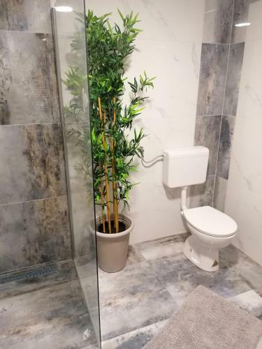 Apartamento Klan Klara House