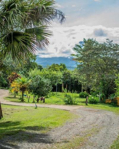 Linda Casa De Verano Con Amplias Zonas Verdes