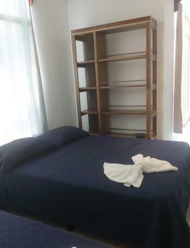 Pura Vida Apartments
