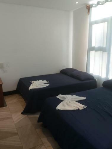 Pura Vida Apartments