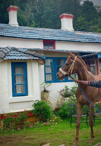 Agroturismo Penrhyn Estd 1929