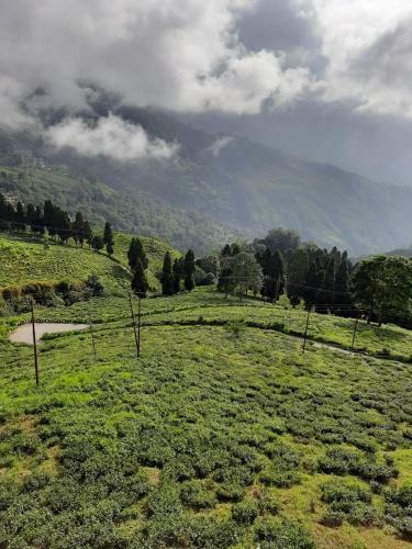 Green Valley Residency Homestay