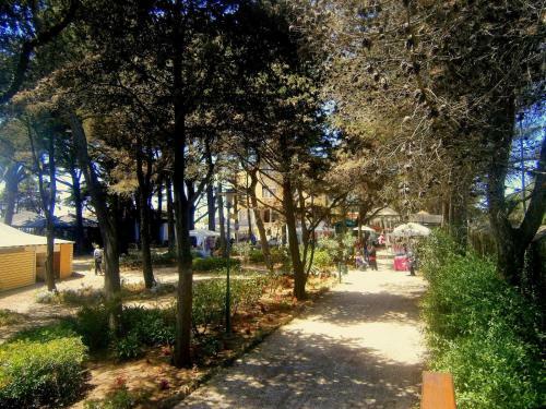 Ocean Cascais - Apartment With Swimming Pool