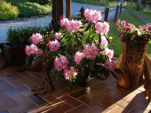 Hostal Landpension K�berl