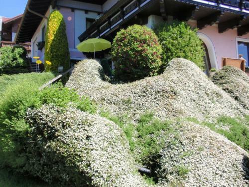Hostal Landpension K�berl