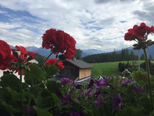 Posada Gasthof Hirschen