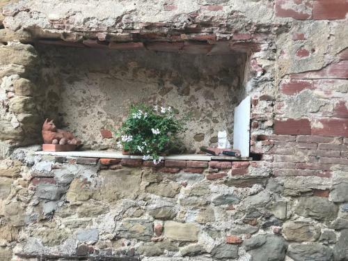 Villa Vacanze Relax E Cultura In Toscana