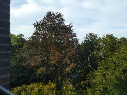 Le Domaine Des Roches, Auberge Collective
