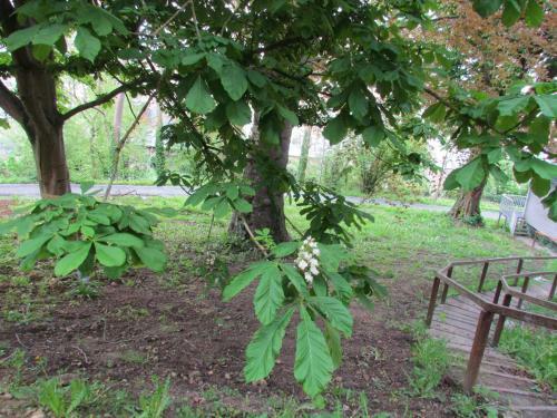Le Domaine Des Roches, Auberge Collective