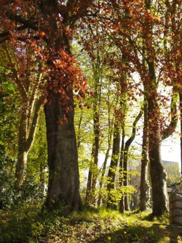 Le Domaine Des Roches, Auberge Collective