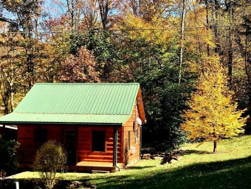 Cozy Cabin Surrounded By Streams