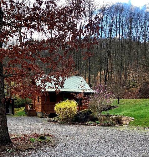 Cozy Cabin Surrounded By Streams