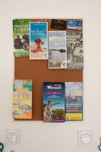 Apartamento Studio Carnon ~ Plage, Port Et Commerces, Tout Proche!