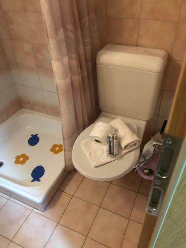 Apartamento Monolocale Bellinzona