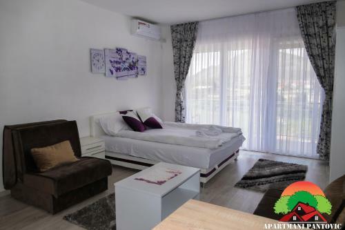 Apartmani Pantovic - Apartman 2