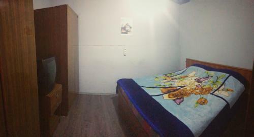 Nana's Apartment