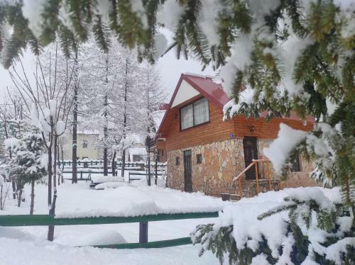 Larix Durmitores Apartments