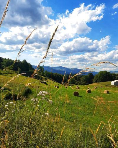 B&B Ldl Amatrice