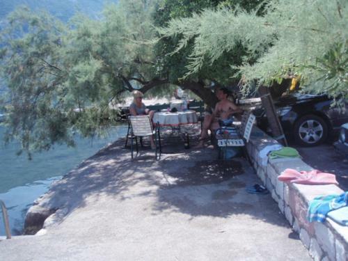 Apartman Vladan