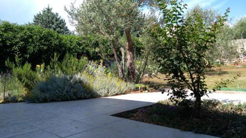 Apartman Ru?a