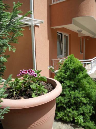 Boris & Matej Apartments
