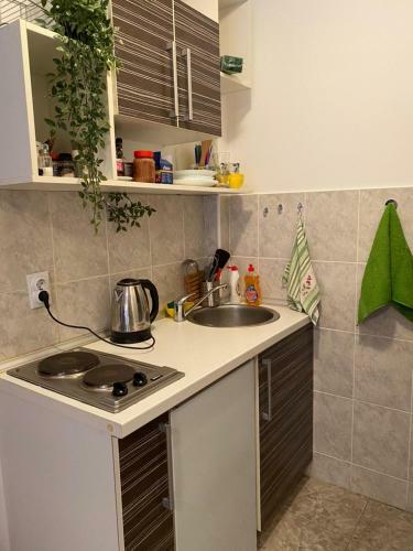 Mint Apartment Studio