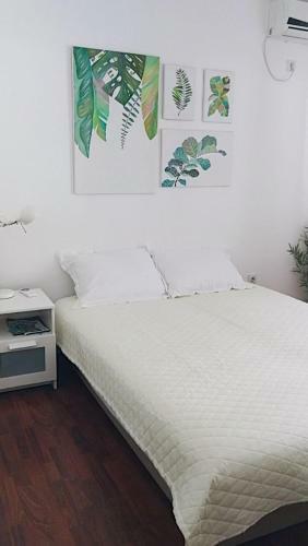 Mint Apartment Studio