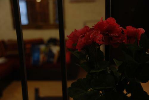 Apartamento Il Paradiso Nel Borgo