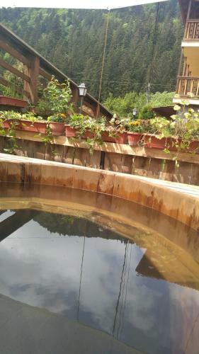 Hostal Natura Tusnad