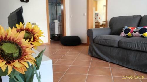 Apartamento Casa D'av� (r/c)
