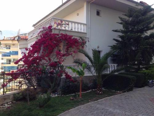 Villa ?????? ????? ? 2 ????????? ? ?????????? ????????? ? ?????? ??????????????
