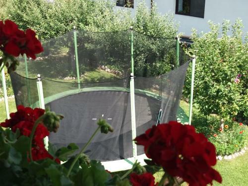 Hostal Vila Deni