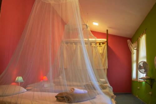 Hostal Aura Cultura De Paz