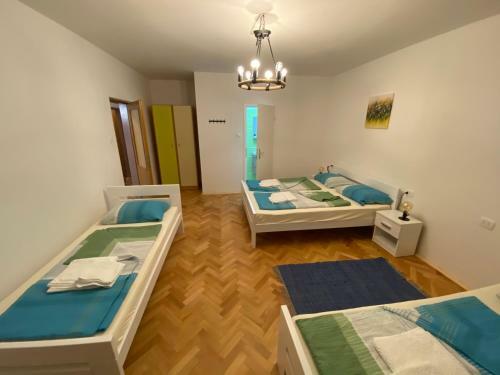 Albergue Sobe Kaki In Kivi