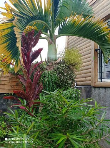 Maison De 3 Chambres Avec Jardin Clos Et Wifi A Saint Andre