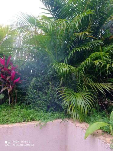 Maison De 3 Chambres Avec Jardin Clos Et Wifi A Saint Andre