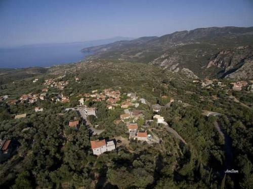 Villa Dimitris Home