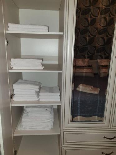 Apartment On Nikoloz Gotsitidze Str 22